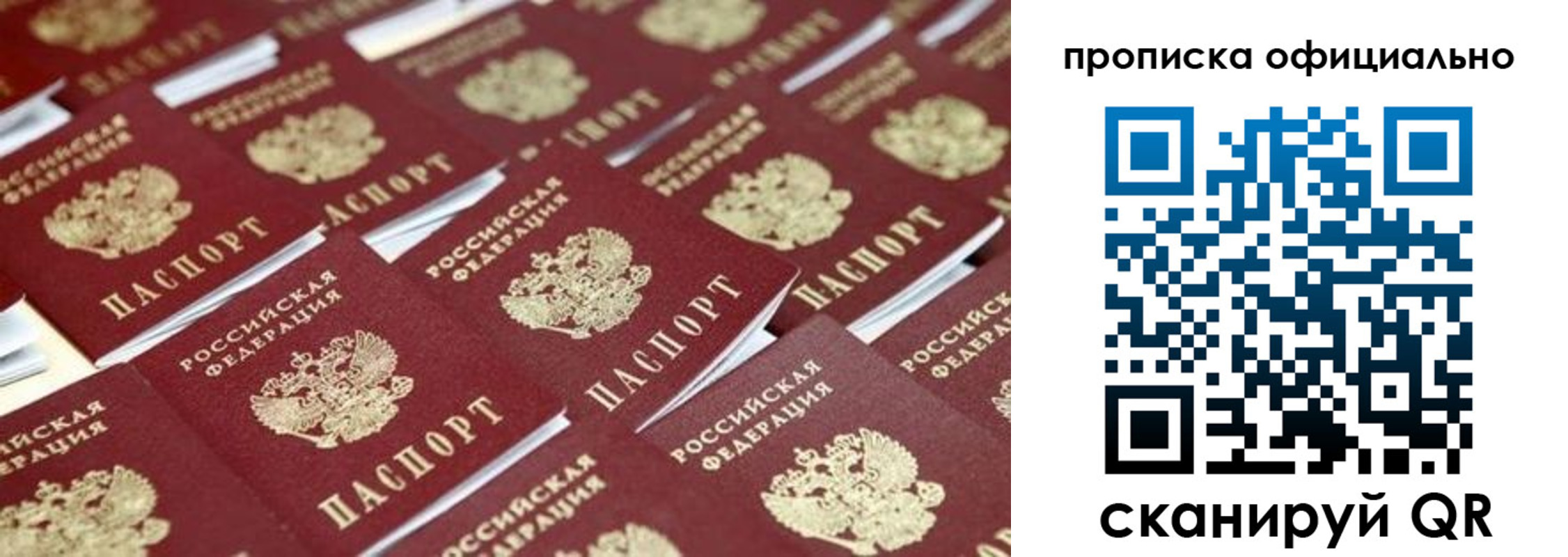прописка гарантия в Лобне